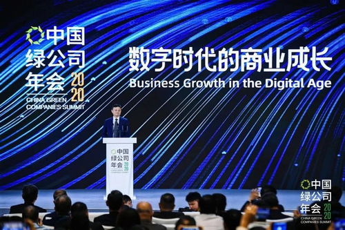 數字時代的新藍海 馬云眼中百萬人口小城鎮的數字廣告機遇